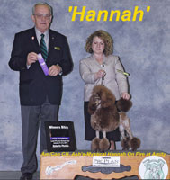 'Hannah'... Am/Can CH. Ash's-Mystical Hannah On Fire At Amity
