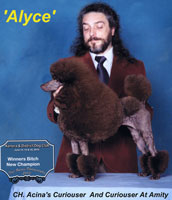 'Alyce'... Can.CH. Acina's Curiouser And Curiouser At Amity