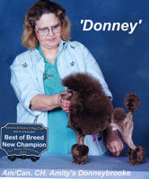 'Donney'.. Am/Can. CH. Amity's Donneybrooke