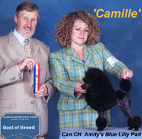 'Camille' .. Can.CH. Amity's Blue Lilly Pad
