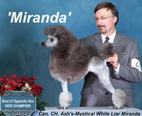 'Miranda'... Can. CH. Ash's-Mystical White Liar Miranda