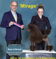  'Mirage'..Am.& Can. CH. Ash's-Mystical Just A Mirage Fantasy