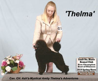 ** Can. CH.** 'Thelma' . Ash's-Mystical Amity Thelma's Adventures