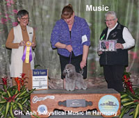 CH. Ash's-Mystical Music In Harmony
