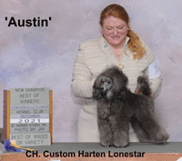 .'Austin' ..CH. Custom Harten Lonestar