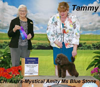 Tammy.. CH. Ash's-Mystical Amity Ms. Blue Stone