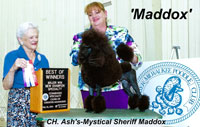 ** New CHampion** 'Ash's-Mystical Sheriff Maddox