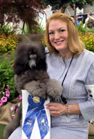 ** NEW GRAND CHAMPION**  Marvin .. Ash's-Mystical Mega Marvin Ryder