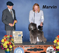 **NEW Grand Champion** Marvin - Ash's-Mystical Mega Marvin Ryder