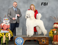 **New Grand CHampion" .. FBI.. Ash's-Mystical Special Agent In Charge